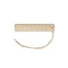 10 cm ruler Linify