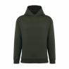 Eco-responsible unisex oversized hoodie Native Spirit®