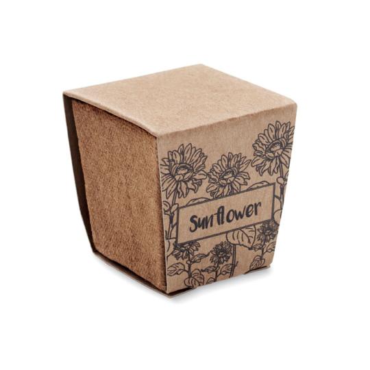 Kit de Tournesol en Pot