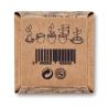 Kit de Tournesol en Pot