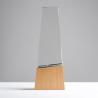 Trophée en bois et verre Best