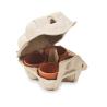 4 Pots en Terre Cuite dans un Plateau à Œufs (Production)