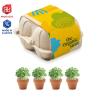 4 Terracotta Pots in Egg Tray (Production)
