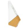 Trophy Model Sail