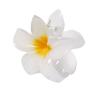 Barrette Tixcon