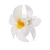 Barrette Tixcon