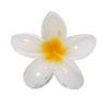 Tixcon Hair Clip
