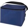 Recycled non-woven thermal bag of 6 cans and 4 L Spectrum