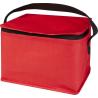 Sac thermique non tissé recyclé de 6 canettes et 4 L Spectrum
