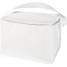 Recycled non-woven thermal bag of 6 cans and 4 L Spectrum