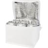Bolsa térmica no tejida reciclada de 6 latas y 4 L Spectrum