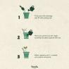 12 Lápis SproutWorld Everyday Earth™ (Produção)