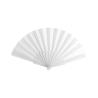 Screen Fan