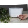 Aromatic humidifier 4 in 1 Prixton Connected Prixton®