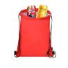 Mochila Refrigeradora Karzux