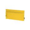 Trubin Case