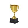 Troféu Nynor