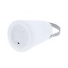 Lâmpada Tuxfan