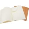 Diary L ruled Cahier Moleskine®