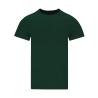 T-Shirt Adulto Perkins