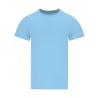 Adult T-Shirt Perkins