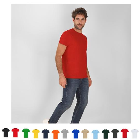 Adult T-Shirt Perkins