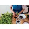 Indoor garden with 4 LED Lushlet light