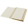 Caderno de Planeamento Gambel
