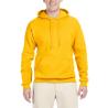 Sweatshirt com capuz