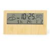 Roamer Weather Station