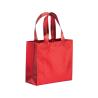 Mini bolso Stelvio