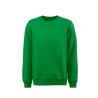 Men's and Women's Softball RSX Sweatshirt