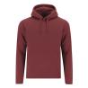 Sweatshirt Adulte Draco