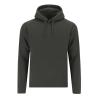 Sweatshirt Adulte Draco