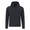 Adult Draco Sweatshirt