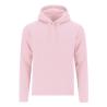 Sweatshirt Adulte Draco