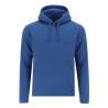 Sweatshirt Adulte Draco