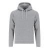 Sweatshirt Adulte Draco