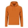 Sweatshirt Adulto Draco