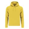 Adult Draco Sweatshirt
