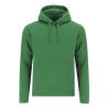 Sweatshirt Adulto Draco