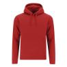Sweatshirt Adulte Draco