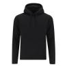Sweatshirt Adulto Draco