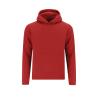 Draco Kids Sweatshirt