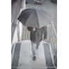 Potik Umbrella