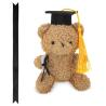 Ursinho De Peluche Graduate Honoris