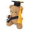 Ours en Peluche Graduate Honoris