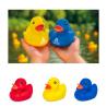 Petri Rubber Duck