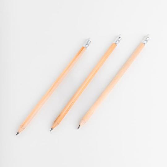 Anna charcoal pencil with...