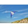 Delta kite in 210T polyester Lirien